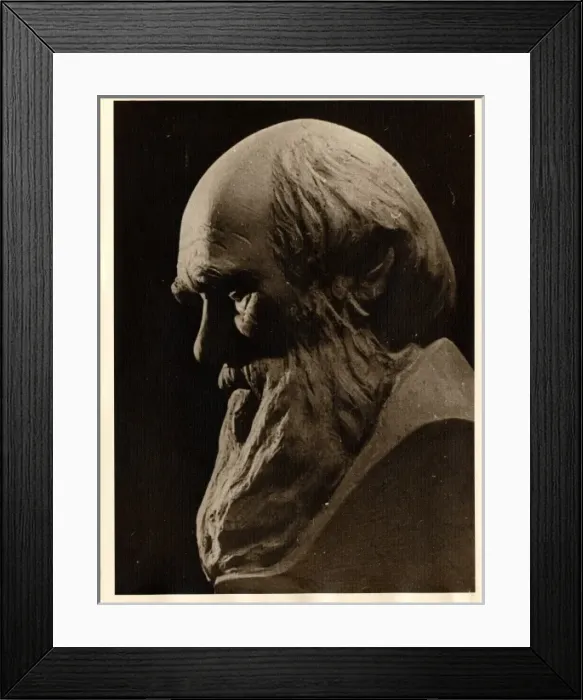 Framed Print : Charles Robert Darwin (1809-1881) Framed Print : Charles Robert Darwin (1809-1881)