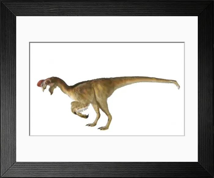 Framed Print : Oviraptor. An animatronic Oviraptor dinosaur made by Kokoro in colabroration Framed Print : Oviraptor. An animatronic Oviraptor dinosaur made by Kokoro in colabroration