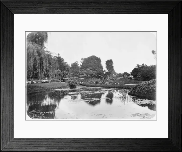 Framed Print : Royal Botanical Gardens, Sydney, Australia