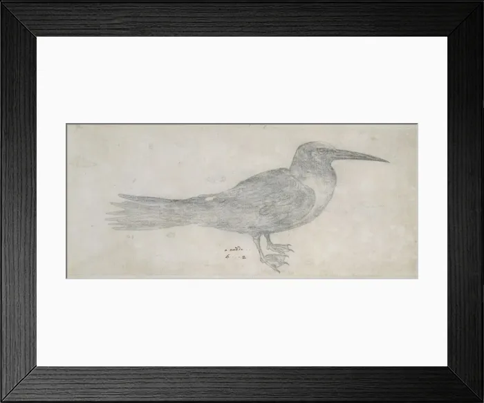 Framed Print : Noddy. A pencil sketch from the Drawings Collection of Thomas Malie (1726-42) Framed Print : Noddy. A pencil sketch from the Drawings Collection of Thomas Malie (1726-42)