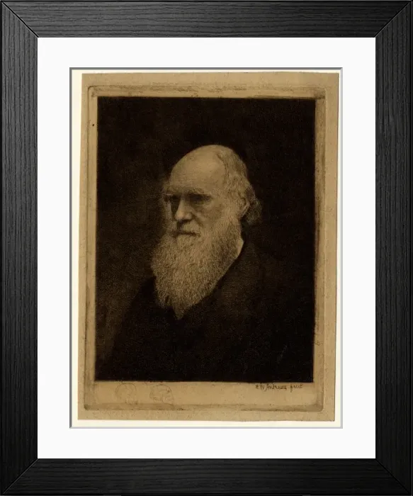 Framed Print : Charles Robert Darwin (1809-1881) Framed Print : Charles Robert Darwin (1809-1881)