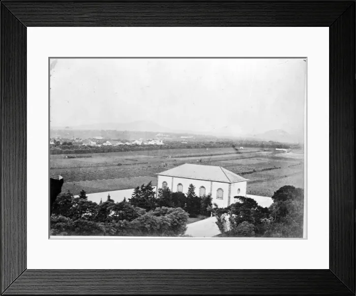Framed Print : Orange Grove, St. Michael, Azores 1873 Framed Print : Orange Grove, St. Michael, Azores 1873