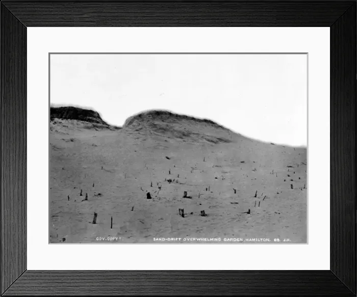 Framed Print : Sand drift overwhelming a garden, Burmuda 1873 Framed Print : Sand drift overwhelming a garden, Burmuda 1873