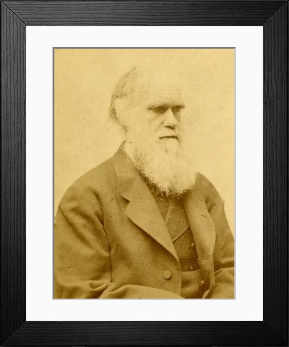 Framed Print : Charles Robert Darwin (1809-1882) Framed Print : Charles Robert Darwin (1809-1882)