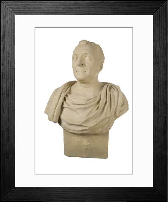 Framed Print : Bust of Carl Linnaeus (1707-1778) Framed Print : Bust of Carl Linnaeus (1707-1778)