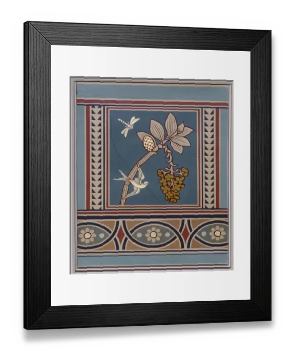 Framed Print : Dendrobium densiflora, orchid Framed Print : Dendrobium densiflora, orchid