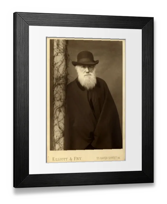 Framed Print : Charles Robert Darwin (1809-1881) Framed Print : Charles Robert Darwin (1809-1881)
