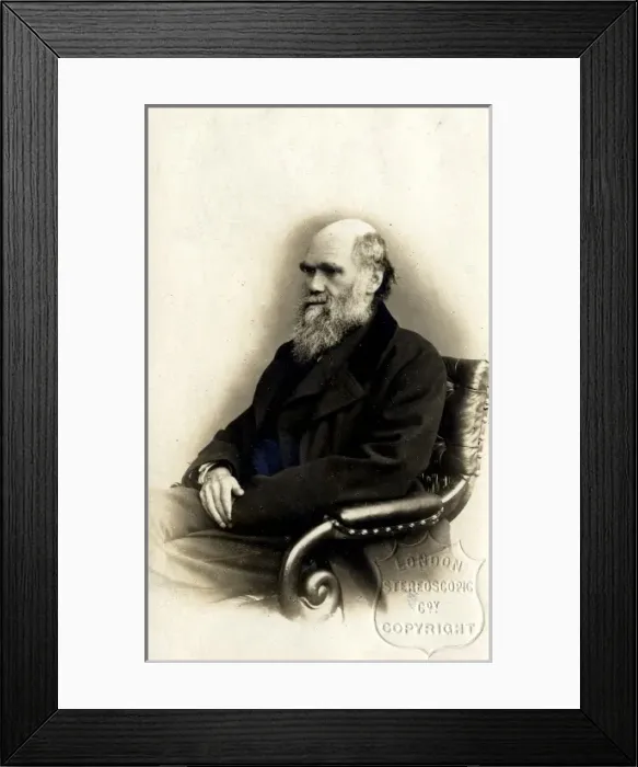 Framed Print : Charles Robert Darwin (1809-1882) Framed Print : Charles Robert Darwin (1809-1882)