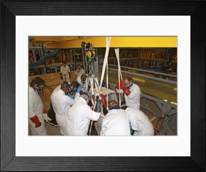 Framed Print : Architeutis dux, giant squid Framed Print : Architeutis dux, giant squid