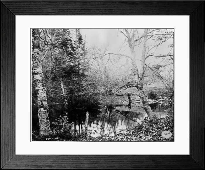 Framed Print : Woodland scene in Halifax 1873 Framed Print : Woodland scene in Halifax 1873