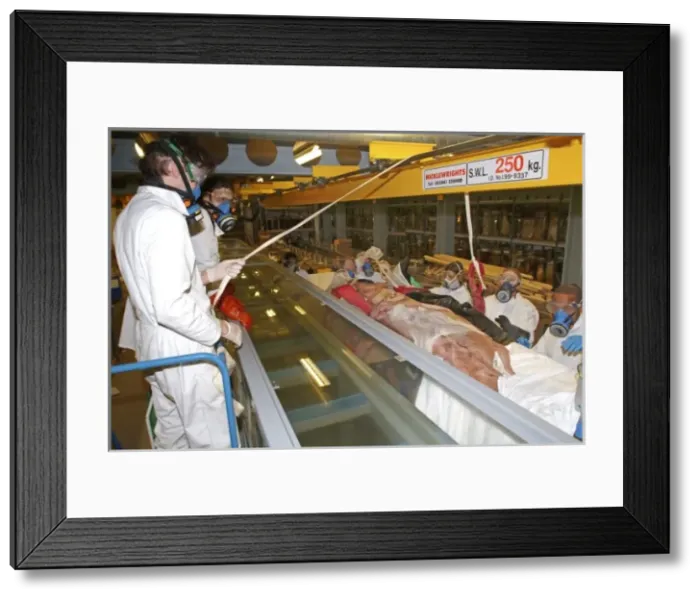 Framed Print : Architeutis dux, giant squid Framed Print : Architeutis dux, giant squid