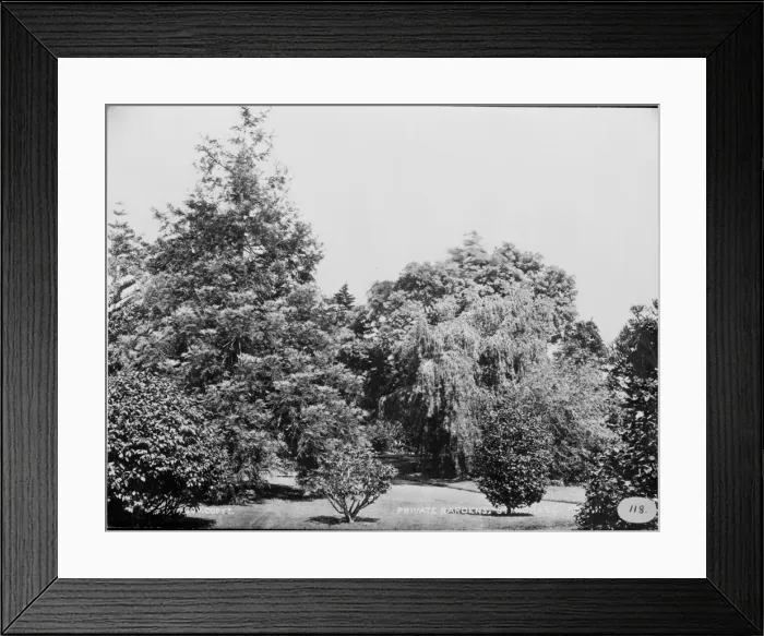 Framed Print : Private garden, St. Michael, Azores 1873 Framed Print : Private garden, St. Michael, Azores 1873