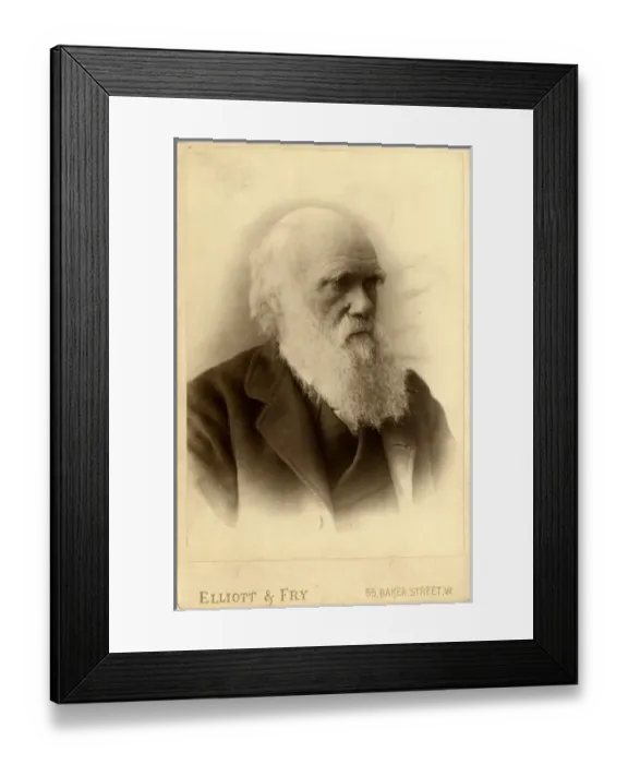Framed Print : Charles Robert Darwin (1809-1881) Framed Print : Charles Robert Darwin (1809-1881)