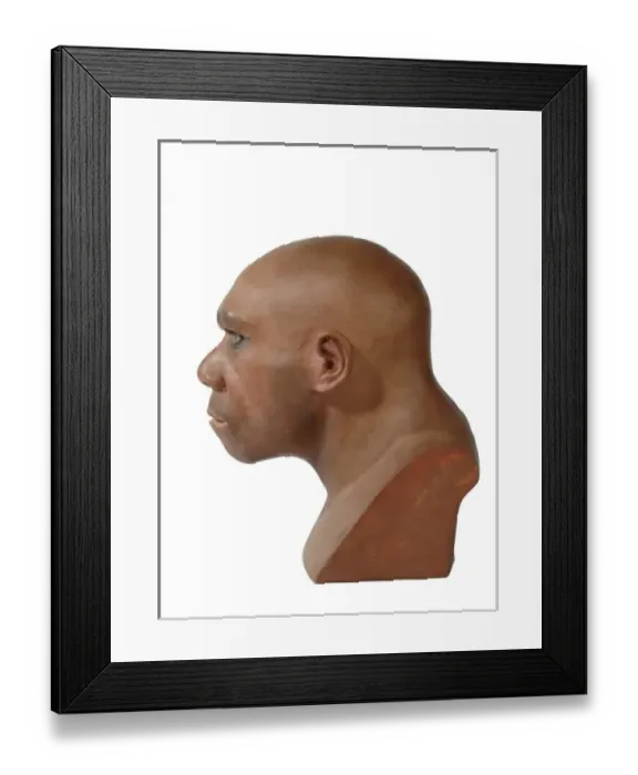 Framed Print : Homo neanderthalensis, neanderthal man Framed Print : Homo neanderthalensis, neanderthal man