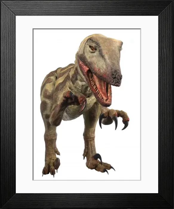 Framed Print : Velociraptor Framed Print : Velociraptor