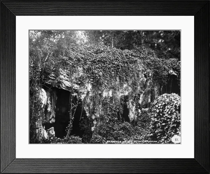 Framed Print : Convolvulus Cave at Walsingham, Bermuda 1873 Framed Print : Convolvulus Cave at Walsingham, Bermuda 1873