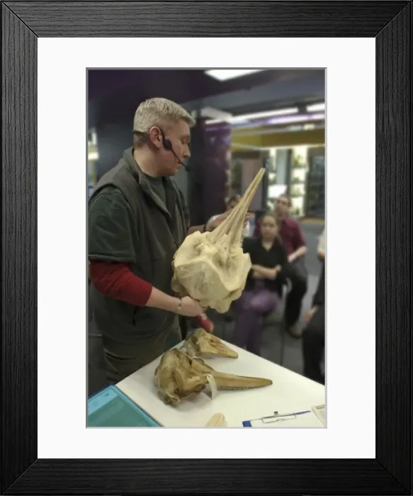 Framed Print : Darwin Centre Live Presentation Framed Print : Darwin Centre Live Presentation