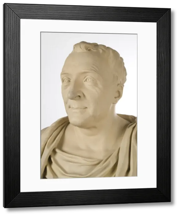 Framed Print : Bust of Carl Linnaeus (1707-1778) Framed Print : Bust of Carl Linnaeus (1707-1778)