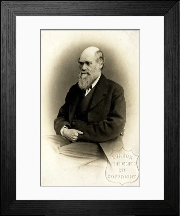 Framed Print : Charles Robert Darwin (1809-1882) Framed Print : Charles Robert Darwin (1809-1882)