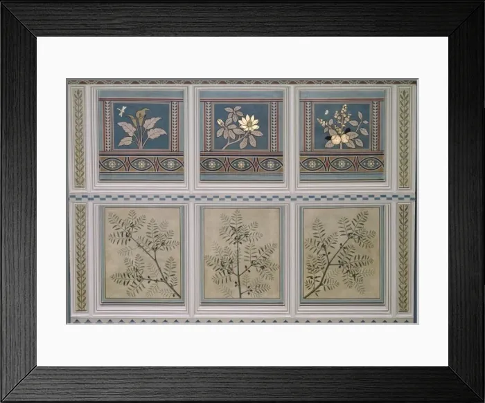 Framed Print : Olea europea, olive Framed Print : Olea europea, olive