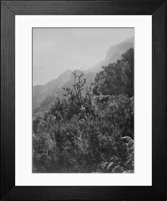 Framed Print : Waterfall Framed Print : Waterfall