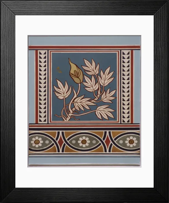 Framed Print : Pothos glaucus Framed Print : Pothos glaucus