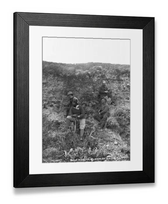 Framed Print : Bone diggers, Elizabeth Island, Strait of Magellan Framed Print : Bone diggers, Elizabeth Island, Strait of Magellan