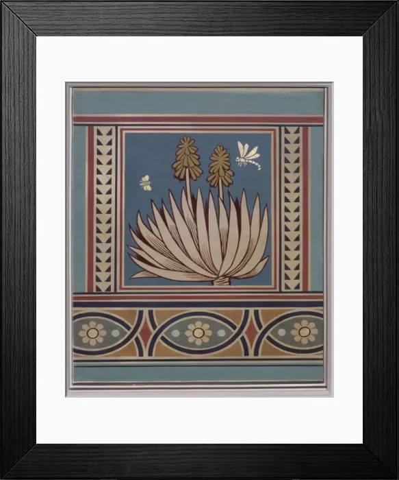 Framed Print : Aloe sp. aloes Framed Print : Aloe sp. aloes