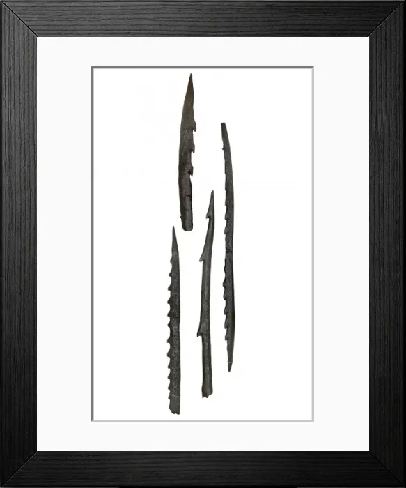 Framed Print : Barbed points from Star Carr Framed Print : Barbed points from Star Carr