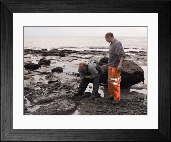 Framed Print : Excavating at Charmouth Framed Print : Excavating at Charmouth