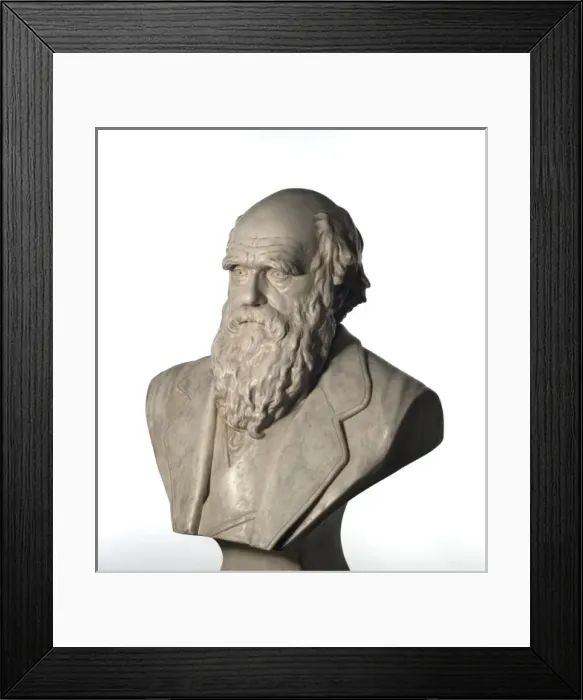 Framed Print : Charles Robert Darwin (1809-1882) Framed Print : Charles Robert Darwin (1809-1882)