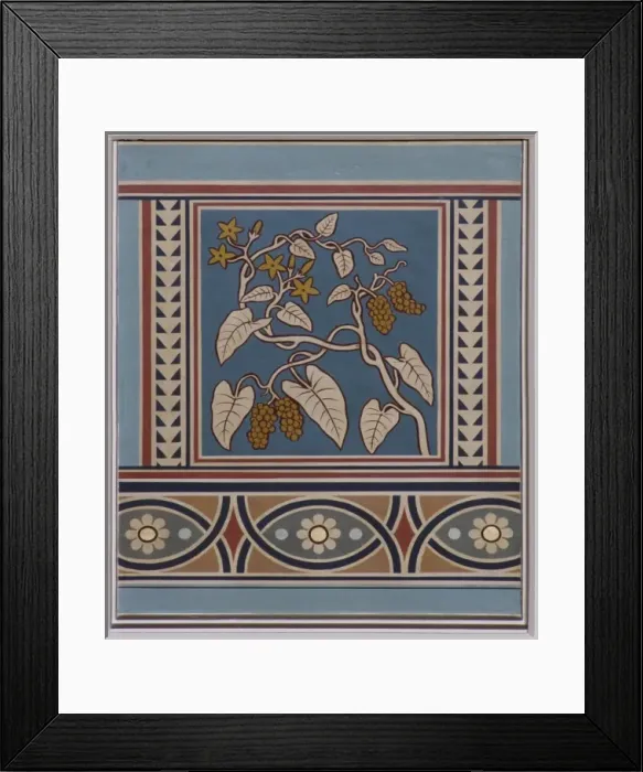 Framed Print : Piper ribesioides, pepper Framed Print : Piper ribesioides, pepper
