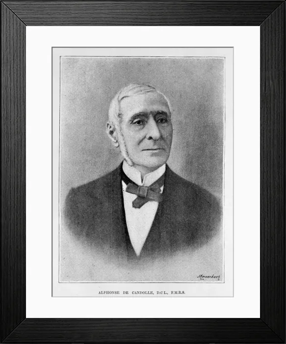 Framed Print : Alphonse de Candolle (1806-1893) Framed Print : Alphonse de Candolle (1806-1893)