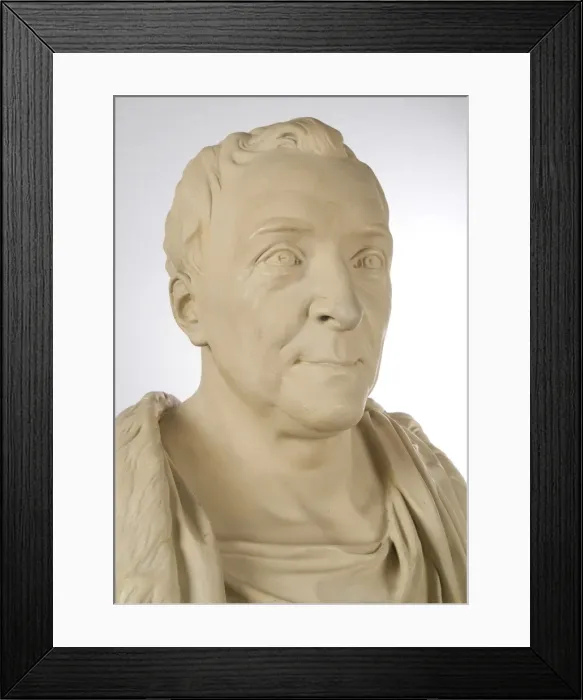 Framed Print : Bust of Carl Linnaeus (1707-1778) Framed Print : Bust of Carl Linnaeus (1707-1778)