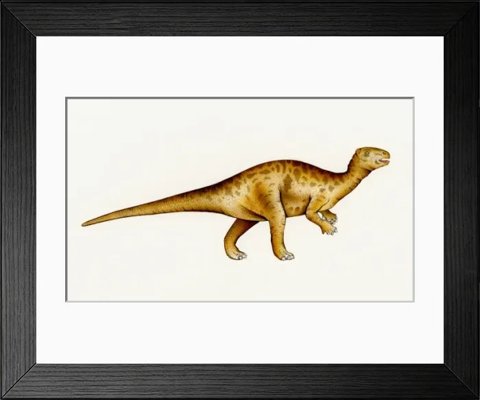 Framed Print : Gallimimus Framed Print : Gallimimus