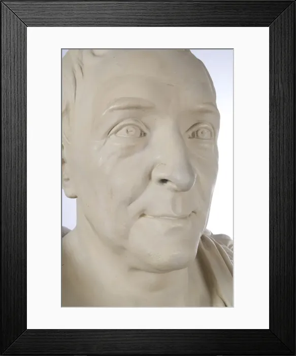 Framed Print : Bust of Carl Linnaeus (1707-1778) Framed Print : Bust of Carl Linnaeus (1707-1778)