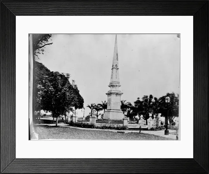 Framed Print : Bahia public gardens, Brazil, South America 1873 Framed Print : Bahia public gardens, Brazil, South America 1873