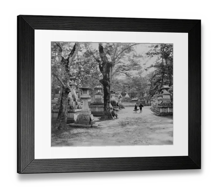 Framed Print : Cemetery. A photograph taken during the voyage of H.M.S Framed Print : Cemetery. A photograph taken during the voyage of H.M.S
