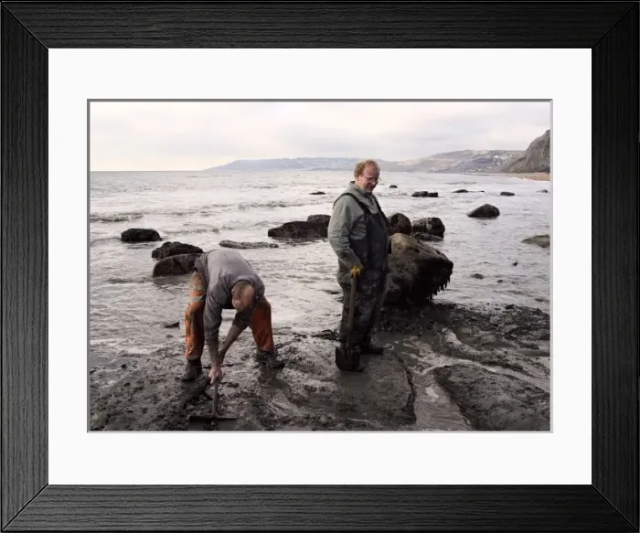 Framed Print : Excavating at Charmouth Framed Print : Excavating at Charmouth