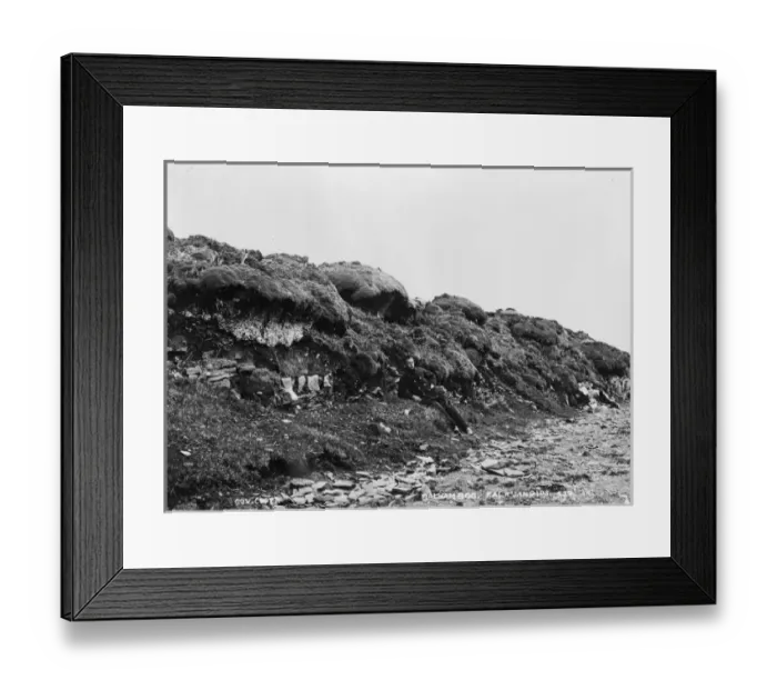 Framed Print : Balsam Bog, Port Stanley, Falkland Islands Framed Print : Balsam Bog, Port Stanley, Falkland Islands