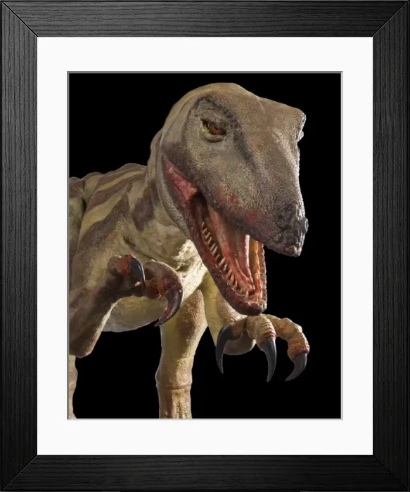 Framed Print : Velociraptor Framed Print : Velociraptor
