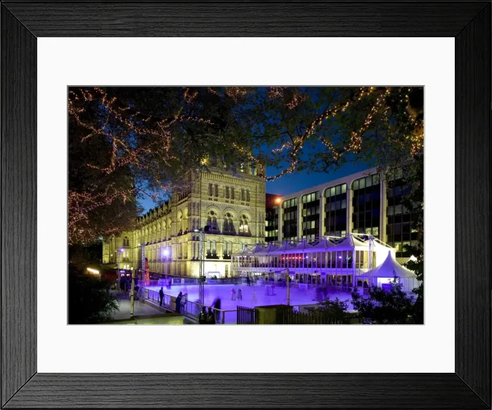 Framed Print : The ice rink at the Natural History Museum, London Framed Print : The ice rink at the Natural History Museum, London