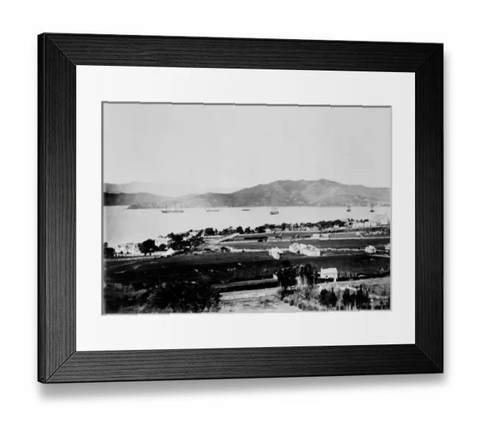 Framed Print : Wellington, New Zealand Framed Print : Wellington, New Zealand