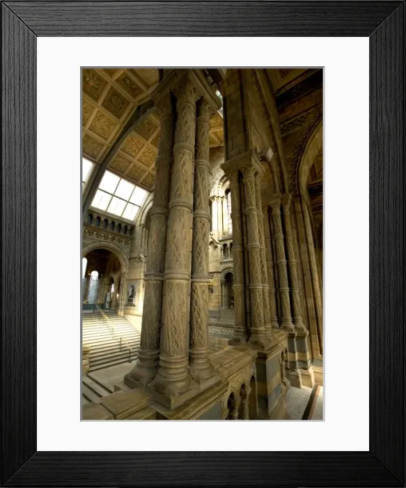 Framed Print : Architectural features of the Main Hall Framed Print : Architectural features of the Main Hall