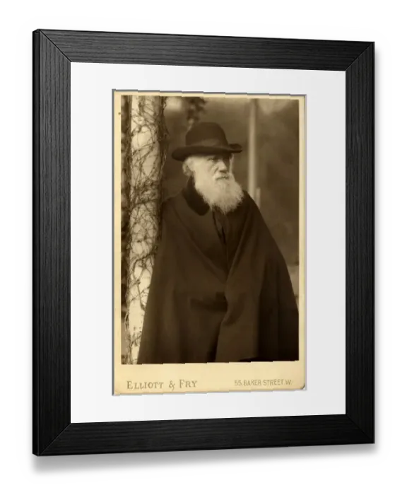 Framed Print : Charles Robert Darwin (1809-1881) Framed Print : Charles Robert Darwin (1809-1881)