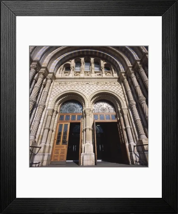 Framed Print : Natural History Museum, London Framed Print : Natural History Museum, London
