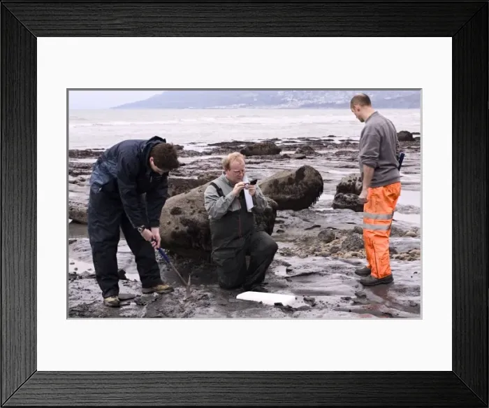 Framed Print : Excavating at Charmouth Framed Print : Excavating at Charmouth
