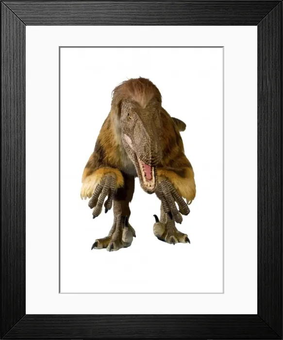 Framed Print : Velociraptor Framed Print : Velociraptor