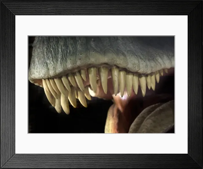 Framed Print : Tyrannosaurus rex Framed Print : Tyrannosaurus rex