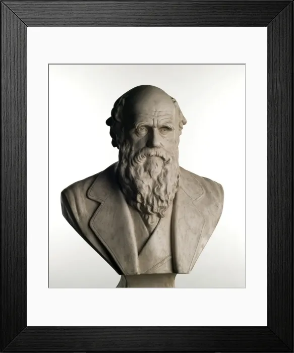 Framed Print : Charles Robert Darwin (1809-1881) Framed Print : Charles Robert Darwin (1809-1881)